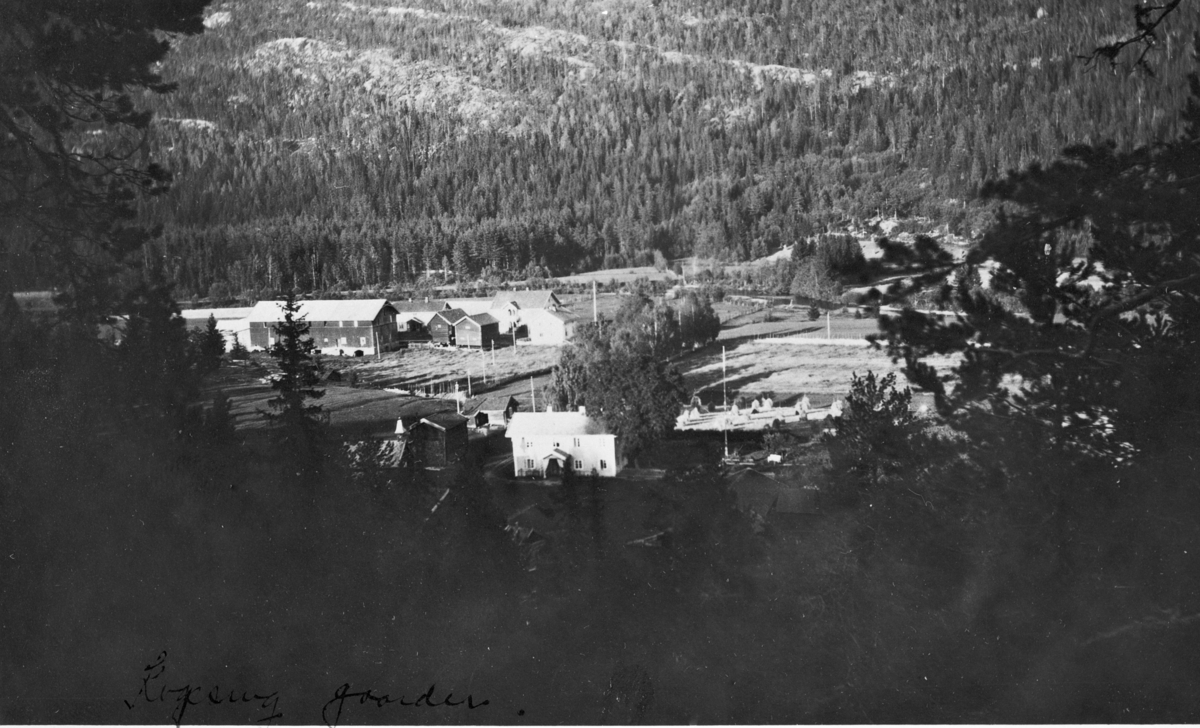 Utsyn over Nedre og Øvre Kopseng i Eggedal, ca. 1920. Alléen går fra Øvre Kopseng til veien, gjennom tunet på Nedre Kopseng hvor det var skysstasjon.