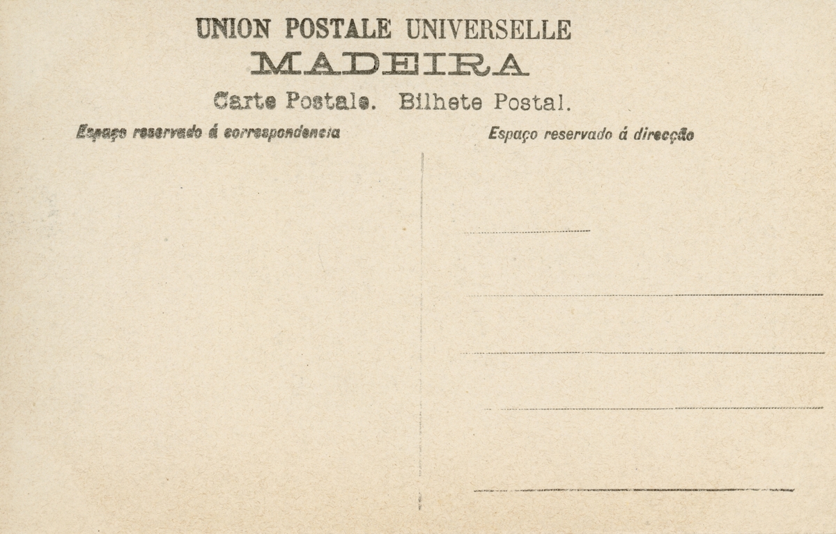 Vykort med motiv av palmer och by invid en bukt. Madeira, Camara de Lobos.