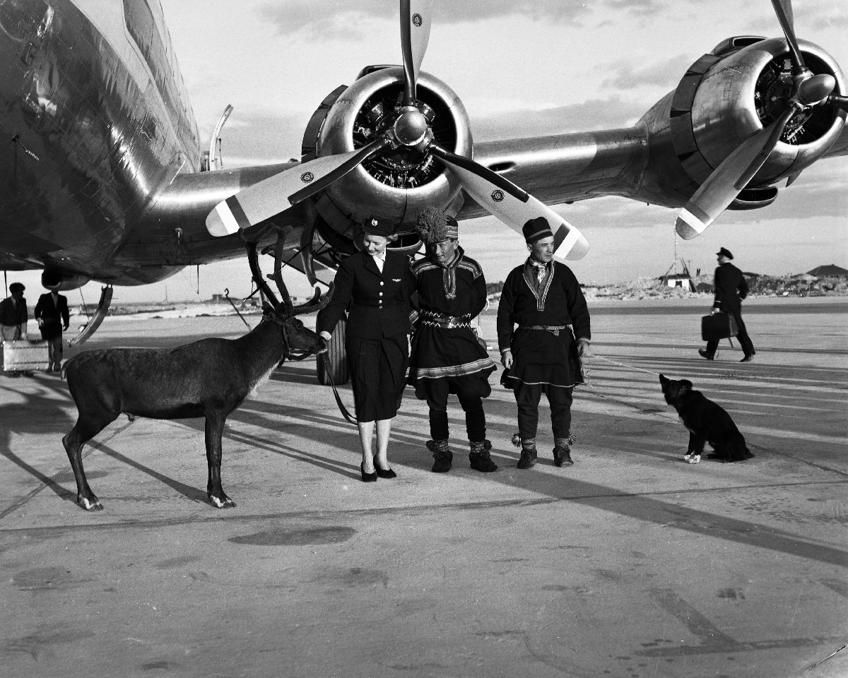 Karl og Kalle Karlstad med hunden Dilko og et reinstyr står oppstilt sammen med en flyvertinne under vingen på SAS' DC-6 "Agne Viking".