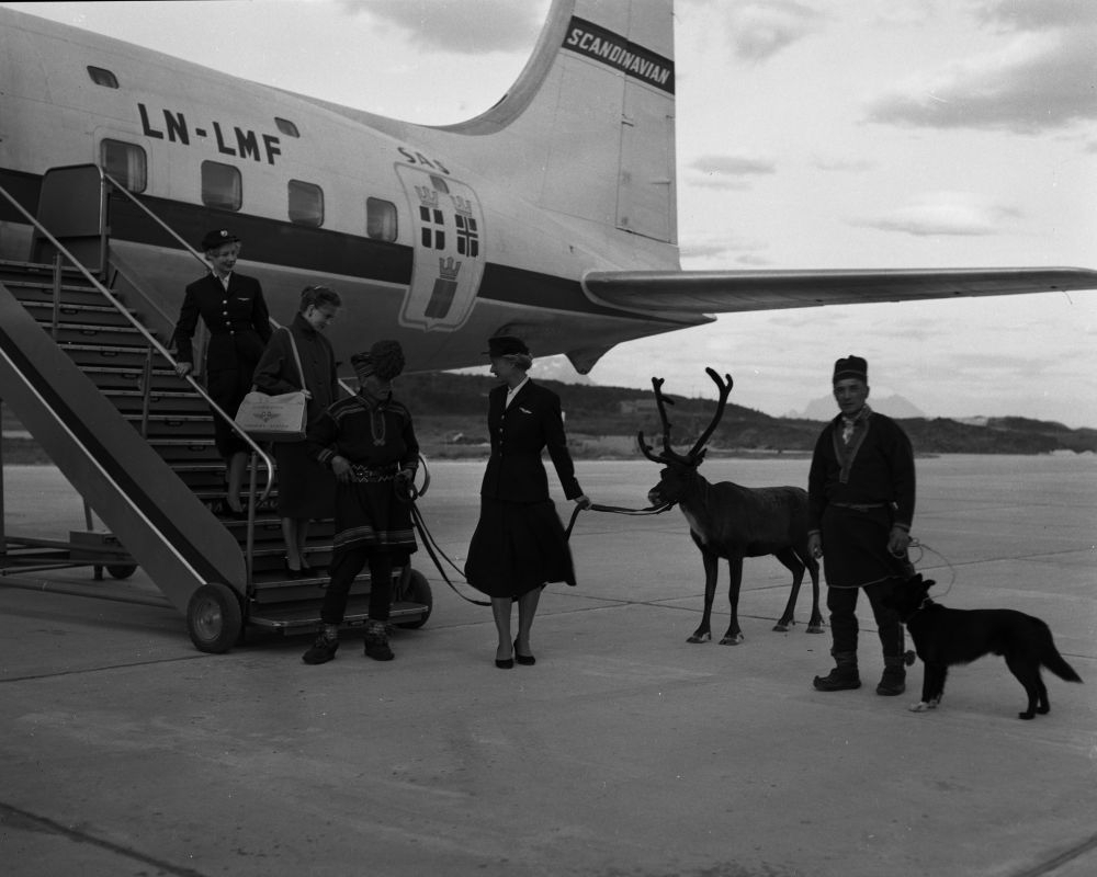 Karl og Kalle Karlstad med hunden Dilko og et reinstyr står oppstilt sammen med to flyvertinner og en guide foran SAS' DC-6 "Agne Viking".