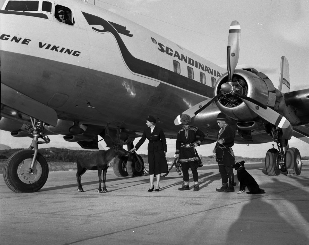 Karl og Kalle Karlstad med hunden Dilko og et reinstyr står oppstilt sammen med en flyvertinne foran SAS' DC-6 "Agne Viking".