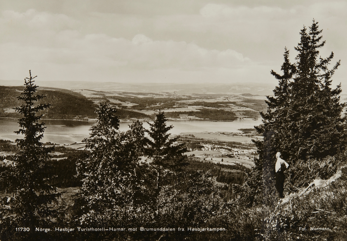 Postkort, Ringsaker, Brumunddal, utsikt fra Høsbjørkampen, Furnesfjorden,