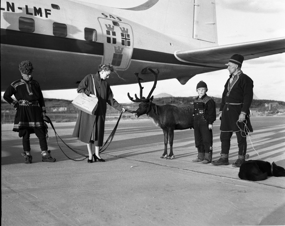 Familien Karlstad med hunden Dilko og et reinstyr står oppstilt sammen med en guide fra Bodø turistforening foran SAS' DC-6 "Agne Viking".