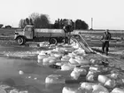 Isflottning på Roxen i februari 1953. Vatten djupet på Roxen uppgavs till 30 cm vilket inte minskar respekten för Olle Gustafssons skicklighet.

...

385 bilder om Linköping på 1950-talet från tidningen Östgötens arkiv. Framtidstro och optimism är ord som sammanfattar Linköping på femtiotalet. Årtiondet innebar satsningar för att förbättra linköpingsbornas livsvillkor. Bostadsfrågan och trafiklösningarna dominerade den lokalpolitiska agendan.
Bilderna digitaliserades år 2013.