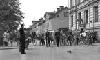 Press, allmänhet och polis följde den 22 maj 1953 en andmamma med hennes sex ungar på deras promand till dammen i slottsträdgården till Stångån. Hennes sjunde unge trillade ner i en brunn på Hunnebergsgatan. En hjälpsam brandman hjälpte ungen upp så den kunde förenas med sin familj. På fotot stoppar en polisman trafiken på Hamngatan för andfamiljen. 
...

385 bilder om Linköping på 1950-talet från tidningen Östgötens arkiv. Framtidstro och optimism är ord som sammanfattar Linköping på femtiotalet. Årtiondet innebar satsningar för att förbättra linköpingsbornas livsvillkor. Bostadsfrågan och trafiklösningarna dominerade den lokalpolitiska agendan.
Bilderna digitaliserades år 2013.