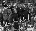 En bisvärm slog sig ner på en cykel i juni 1953 under värmeböljan. På bilden ser man även linköpingsfotografen Arne Gustafsson dokumentera händelsen. Östgötens rubrik den dagen var fyndigt nog 