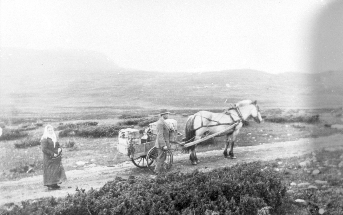 Heimreise frå stølen.