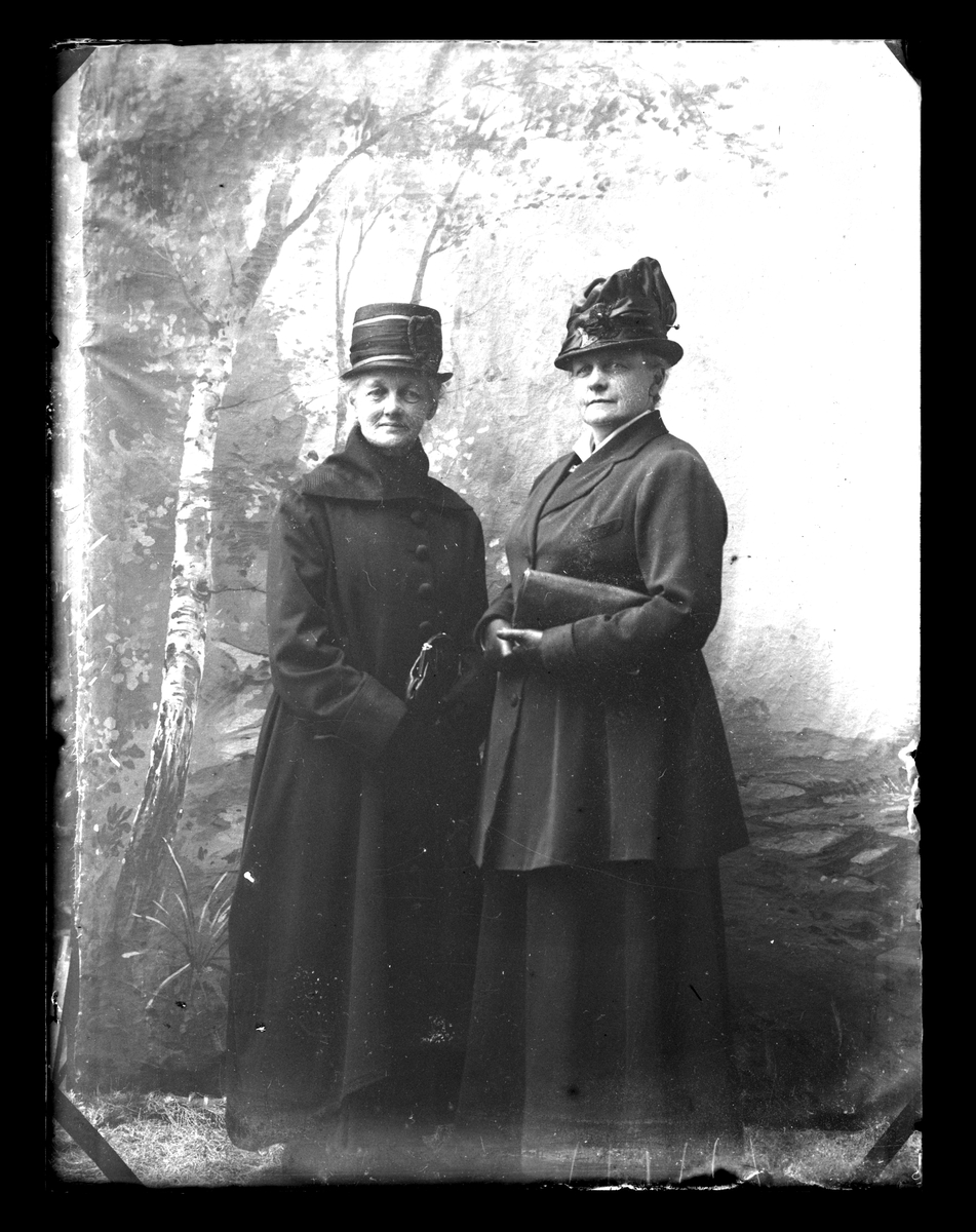 Atelierfoto. To eldre kvinner.
Skrevet på negativet: Fru Rokstad-Andersen (Rogstad-Andersen), se bilde GM_MG.00431_1.
Lovise Rogstad Andersen til høyre.
Lovise Rogstad Andersen f. 23. november 1861 i Åmot, d. 11. desember 1934  i Elverum.