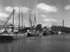 Hamnen i Linköping strax före midsommar år 1952. Hamnfogden Gunnar Lindfors konstaterade att det inte hade setts så många båtar sedan år 1921 i Linköpings hamn. Tretton båtar lämnade sin last med cement, kalksten, kalksalpeter och rapsmjöl. Längst till vänster i bild ser man så kallade Mutterhuset, uppfört 1944-1945 för ELGE verken. Det revs år 2011.

...

385 bilder om Linköping på 1950-talet från tidningen Östgötens arkiv. Framtidstro och optimism är ord som sammanfattar Linköping på femtiotalet. Årtiondet innebar satsningar för att förbättra linköpingsbornas livsvillkor. Bostadsfrågan och trafiklösningarna dominerade den lokalpolitiska agendan.
Bilderna digitaliserades år 2013.