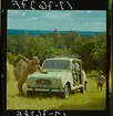 2779 Svenska Renault AB. Bilar i natur