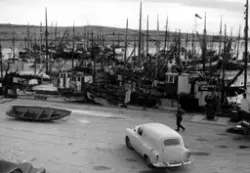 Dampskipskaia i Vadsø. Mange sjarker ligger ved kai, og en b