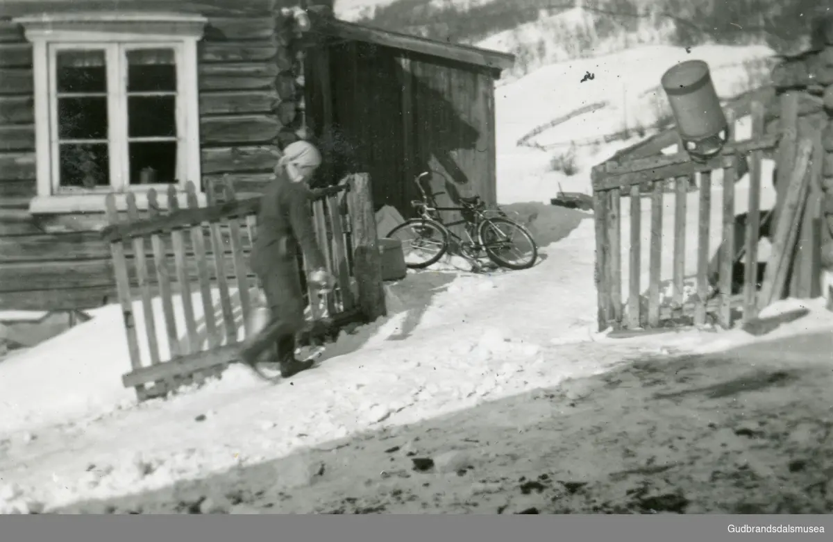 Nigard Visdal, Vågå
Inn frå fjøset (?)
Innlånt frå Mari (Sveum) Øyen, Vågå.