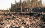 Vapenkuppen i Järna var en sprängning mot ett militärt mobiliseringsförråd i Järna utanför Södertälje 26 november 1986 av den så kallade Järnaligan. Flera hektar skog jämnades med marken.
