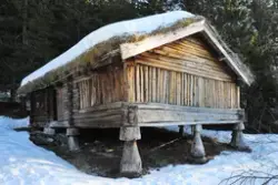Kornlåve