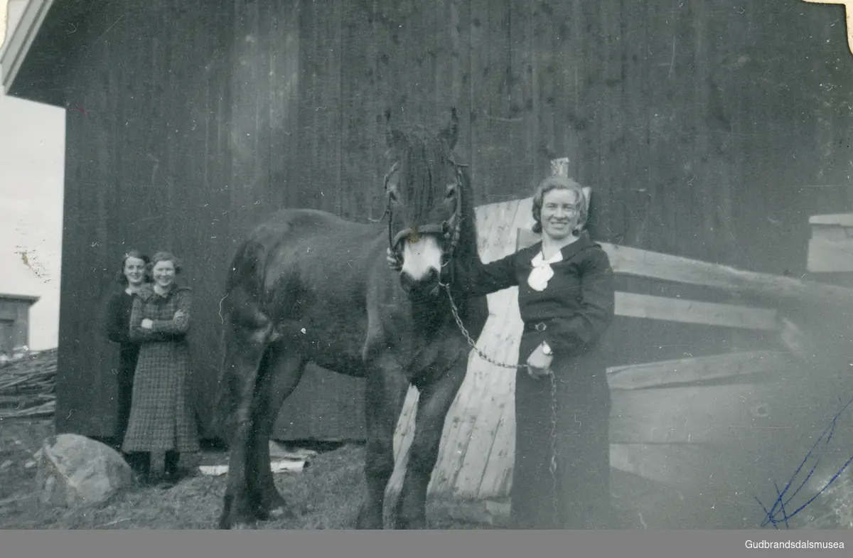 Nordherad, Vågå
Mari Bergehaugen t.h.


Innlånt frå Mari (Sveum) Øyen, Vågå.