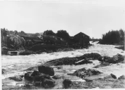 Kronsågen på Älvkarleö