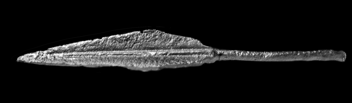 Hovedkatalogen: "Pilespidse, treægget, hver Eg omtrent 1/2 Tom. [1,3 cm] bredest[?], nedi Fordybningerne gaar fra Spidsen ned til Stilken runde Ophøininger. Stilken selv er rund, 2 1/2 Tom. [6,5 cm] lang og 3/16 Tom. [0,5 cm] i Diameter, paa denne gaar Stilken lige op til Bladet." 