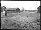 Forngravsundersökning, grästorven avskalad, Medåker, N. Ryby.