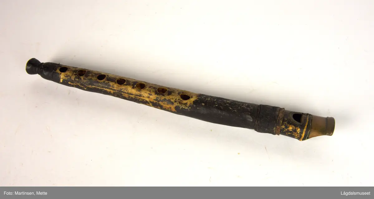 Fløyta er laget av tørket kuhale. Munnstykket er profft laga, trolig av en gjørtler. Sannsynligvis av messing, mens blokka er av tre. Fløyta har sju fingerhull foran, men ingen tettehull for tommel bak. Avskallet svart farge. Rundt et belte øverste på fløyta hvor det er risset inn: SVRT eller SURT - 1562. Ikke nødvendigvis en referanse til årstall og alder.