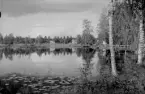 Rättvik, Ore, Dalfors. Motiv från Dalfors med sjön 1961.