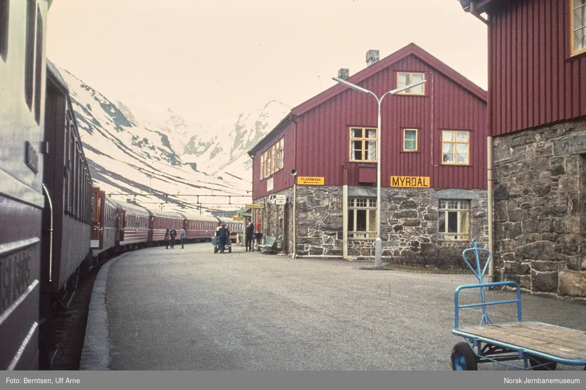 Nattoget til Bergen, tog 605, på Myrdal stasjon