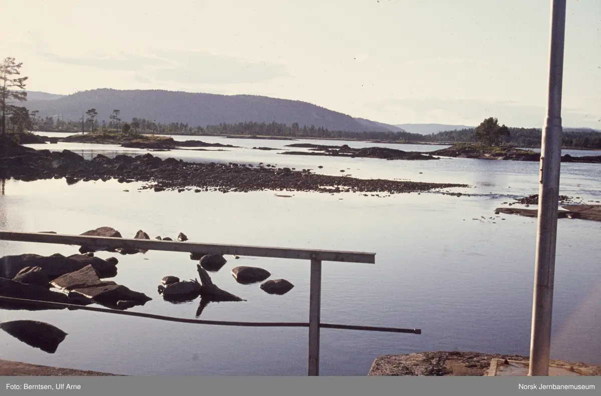 Ved Nelaug stasjon, Nelaugvatnet