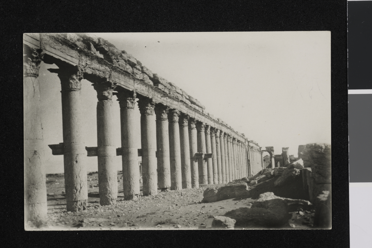 Ruiner i Palmyra. Fotografi tatt i forbindelse med Elisabeth Meyers bok; En Kvinnes Ferd til Persia.