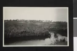 Hvor irrigasjonsanleggene er i orden, ser vi fruktbare lands