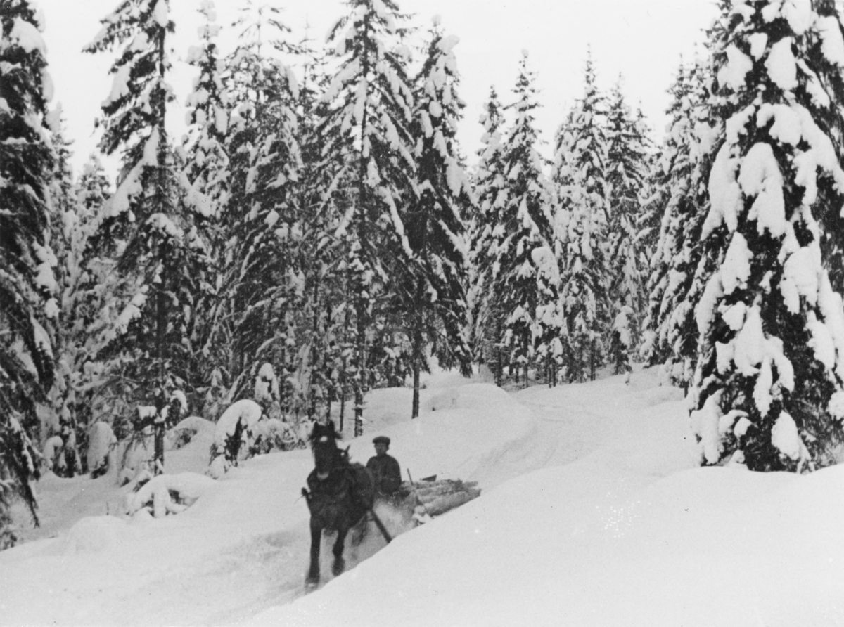 Timmerkörning. Från filmen "Skatten i skogen". Uddeholms aktiebolag.