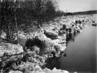 Islossning i Byske älv 27 april 1910. Sedan isen sprängts med dynamit ligger isen dock kvar på stränderna tillsammans med lador, hus och annat bråte, som följt med vid islossningen.