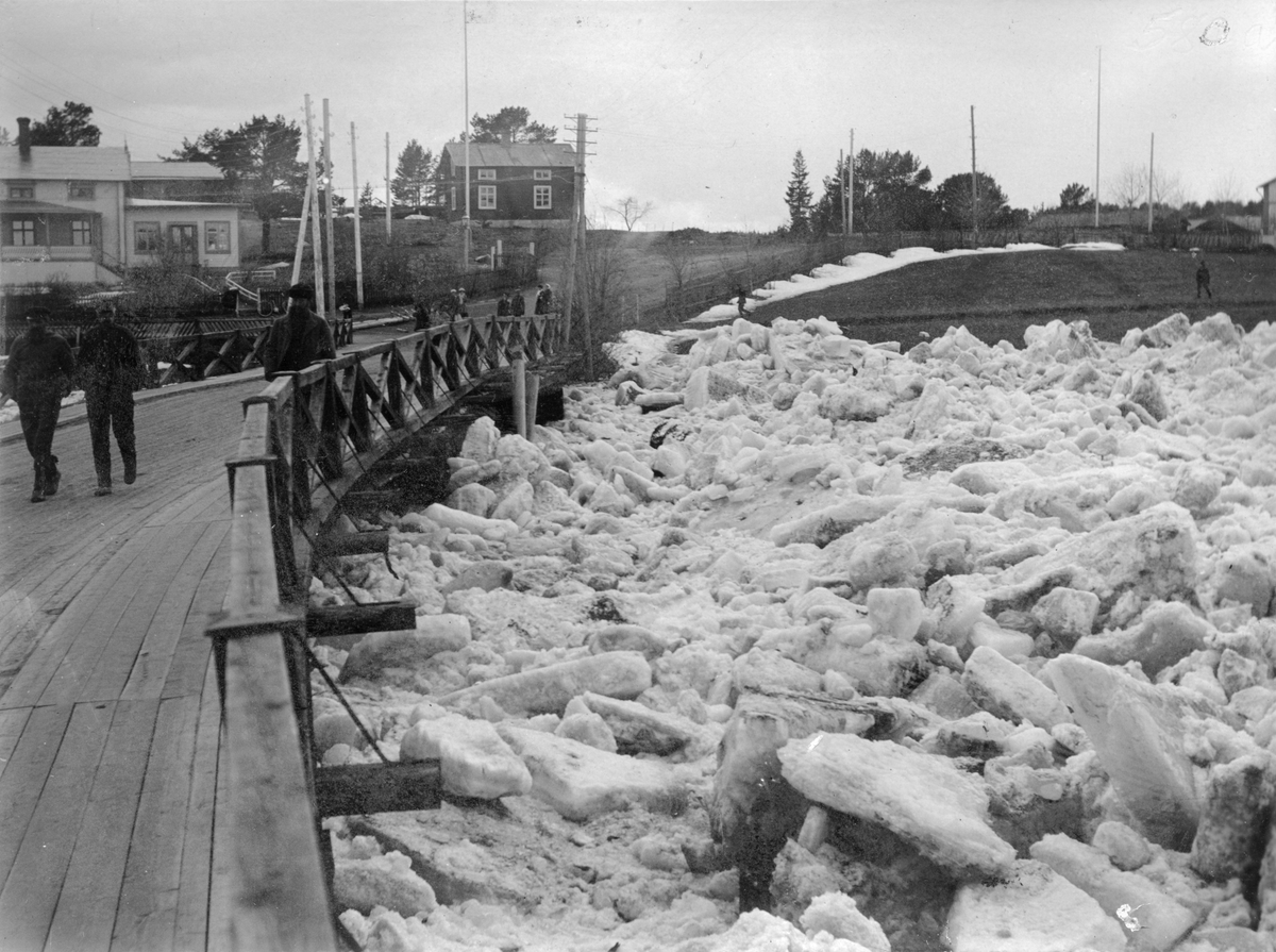 Islossning i Byske älv 27 april 1910. Isen tränger på bron över älven å den böjer sig.