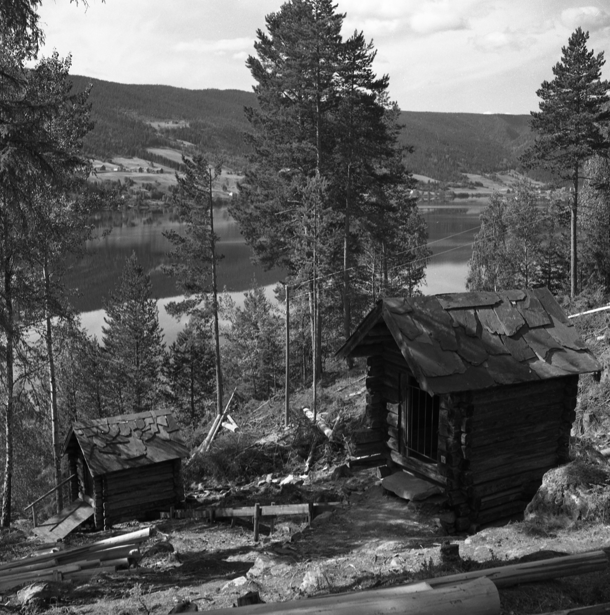 Motiv frå museet i forbindelse med bufarsdag osv.  i 1960.