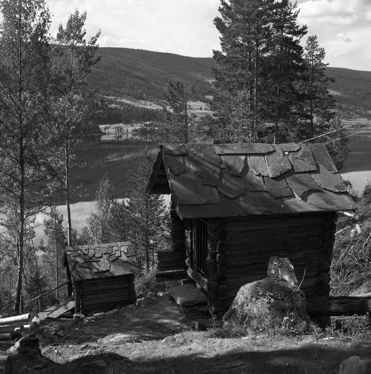 Motiv frå museet i forbindelse med bufarsdag osv.  i 1960.