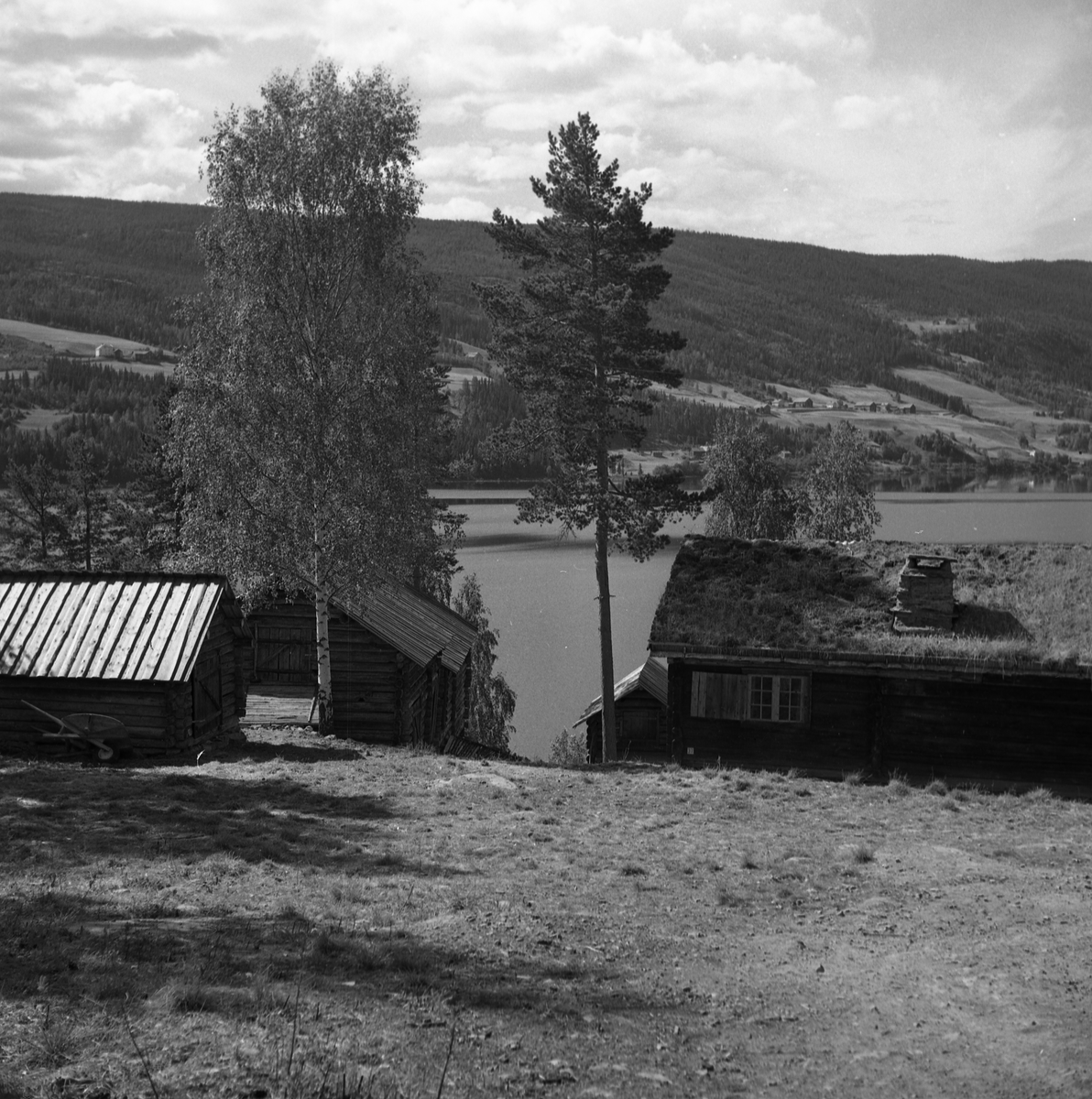 Motiv frå museet i forbindelse med bufarsdag osv.  i 1960.