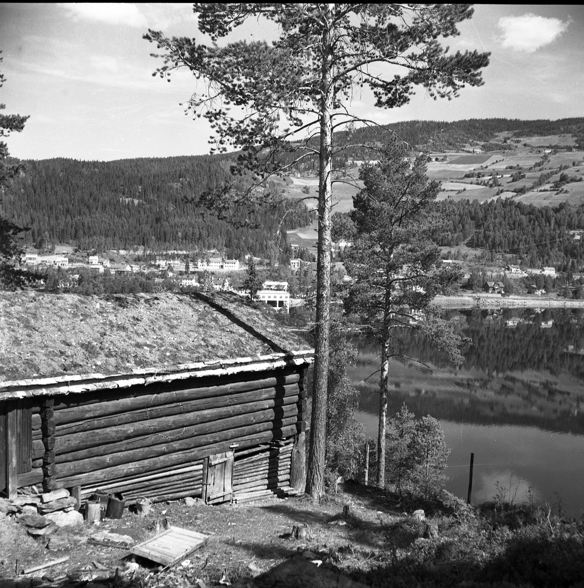 Motiv frå museet i forbindelse med bufarsdag osv.  i 1960.
