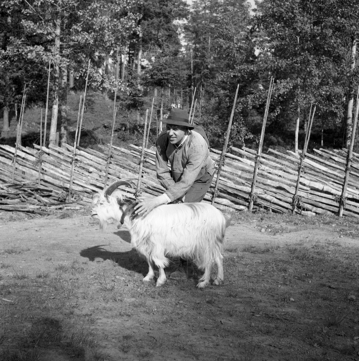 Motiv frå museet i forbindelse med bufarsdag osv.  i 1960.