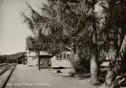 Postkort, Koppang stasjon, jernbanestasjon, stasjonsbygning,