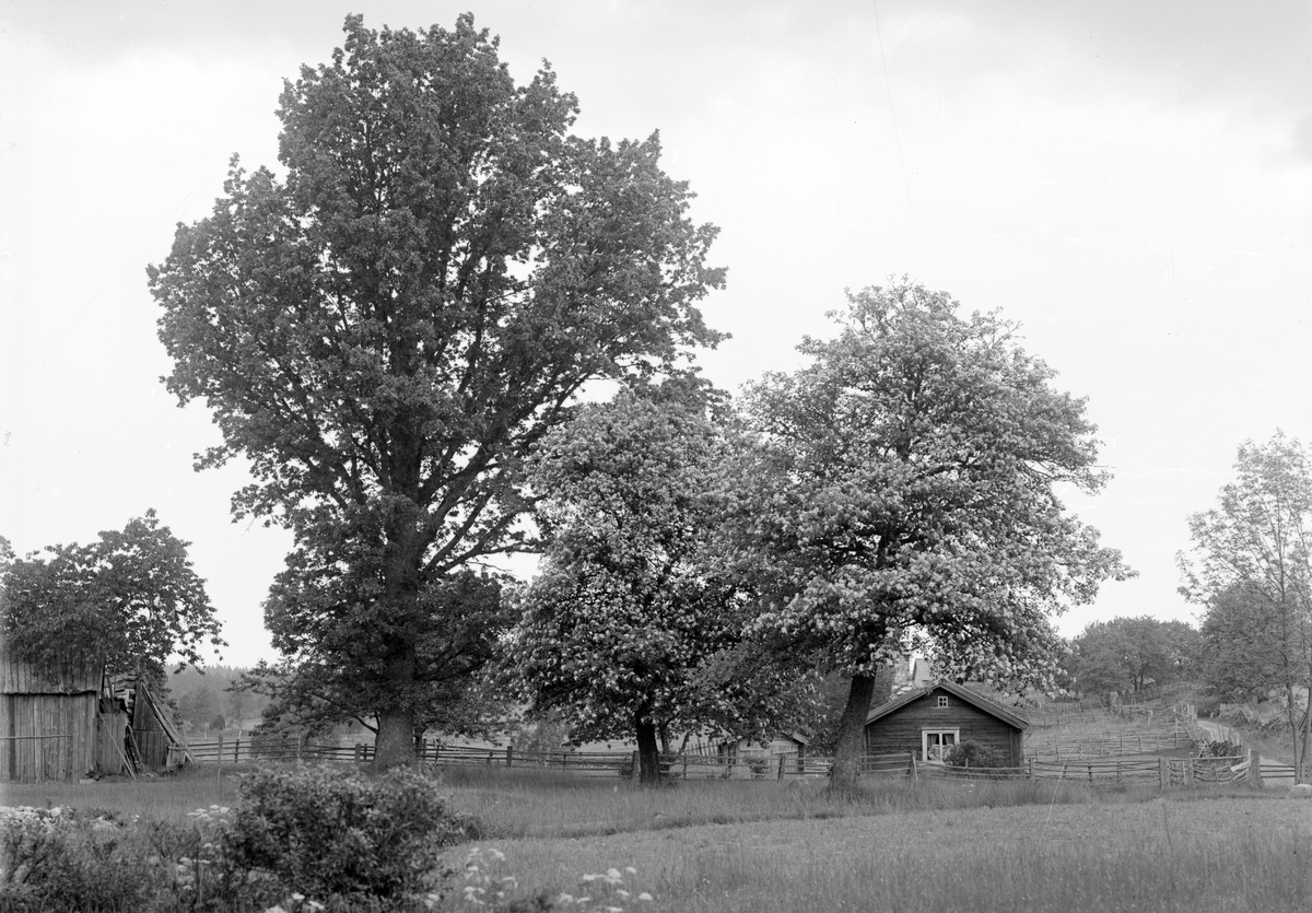 Backstugan Klockemåla, även kallad Glappa, under gården Klockarp i Svinhult. Bilden är odaterad men rimligtvis tagen före 1925 då stugan sist gav husrum för fast boende, spelmannen Oskar "Oskar i Glappa" Johansson.