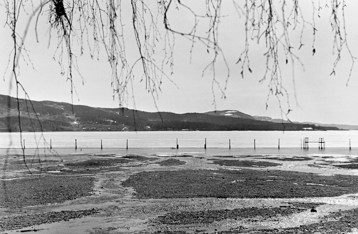 Fra elva Rindas utløp i Mjøsa ved Vingrom i daværende Fåberg kommune i Oppland.  Fotografiet er tatt våren 1939.  Vi ser ut over et bredt, grunt og steinete elveløp med lav vannføring og enkelte små isflak etter foregående vinter.  På motsatt side av Mjøsa ser vi i retning bygdelaget Søre Ål, som også lå i Fåberg. I Glomma fellesfløtingsforenings album er dette bildet er montert som den venstre delen av et todelt panoramaopptak. 

Elva Rinda kommer fra Rindtjernene sør for Rindåsen, i grensetraktene mellom Vestre Gausdal og Fåberg.  Den renner gjennom Saksumdalen, og når Mjøsa etter drøyt to mil.  Rinda renner gjennom skogtrakter, og den var derfor ei viktig fløtingselv.  For å hindre at fløtingsvirket strøk fra elveosen og ut i Mjøsa ble det oppsatt ei lense som skulle samle opp alle stokkene, slik at de kunne buntes før de ble buksert videre sørover.  Lensa besto av en kjede av flytende tømmerstokker, støttet av ei pælerekke.