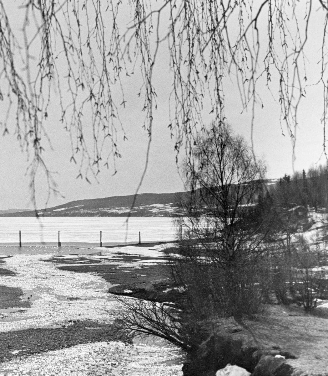 Fra elva Rindas utløp i Mjøsa ved Vingrom i daværende Fåberg kommune i Oppland.  Fotografiet er tatt våren 1939.  Vi ser ut over et bredt, grunt og steinete elveløp med lav vannføring og enkelte små isflak etter foregående vinter.  På motsatt side av Mjøsa ser vi i retning bygdelaget Søre Ål, som også lå i Fåberg. I Glomma fellesfløtingsforenings album er dette bildet er montert som den høyre delen av et todelt panoramaopptak.  

Elva Rinda kommer fra Rindtjernene sør for Rindåsen, i grensetraktene mellom Vestre Gausdal og Fåberg.  Den renner gjennom Saksumdalen, og når Mjøsa etter drøyt to mil.  Rinda renner gjennom skogtrakter, og den var derfor ei viktig fløtingselv.  For å hindre at fløtingsvirket strøk fra elveosen og ut i Mjøsa ble det oppsatt ei lense som skulle samle opp alle stokkene, slik at de kunne buntes før de ble buksert videre sørover.  Lensa besto av en kjede av flytende tømmerstokker, støttet av ei pælerekke.