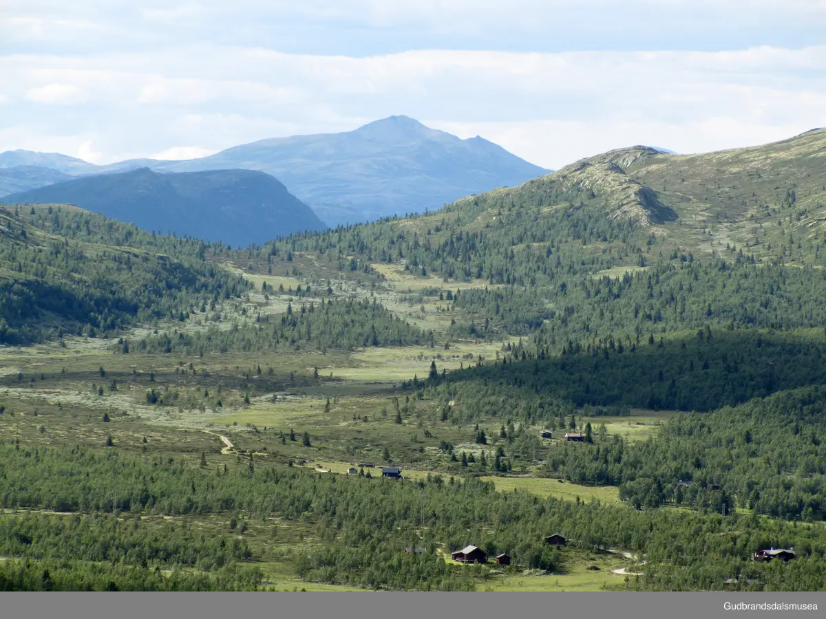 Venabygdsfjellet Holtesetrin Venabygd Ringebu