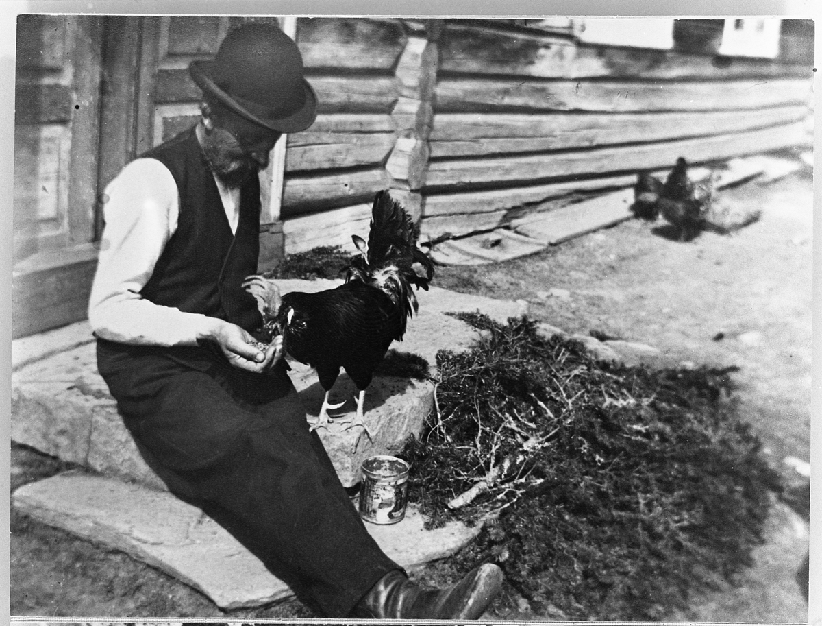 Johannes Skinderviken sitter på trammen og mater hanen. Året er 1910.