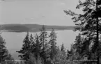 Utsikt från Hällviksberget 1944.