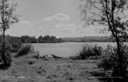 Skuthamn, Ludvika 1944.