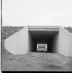 Viadukter under motorvägen, troligen i närheten av Brahehus.