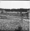 Borggården vid Brahehus slottsruin.