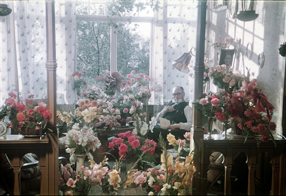 Fotograf Alf Schrøder 70 år
