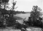 Vy över sjön Roxen från Grensholms ägor. Odaterad bild från omkring 1895.