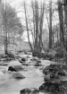 Tinnerbäcken i vårtid. Motiv som rimligtvis tagits som inspiration och förlaga för fotografens konstnärsskap som landskapsmålare. Den exakta platsen har inte lokaliserats.