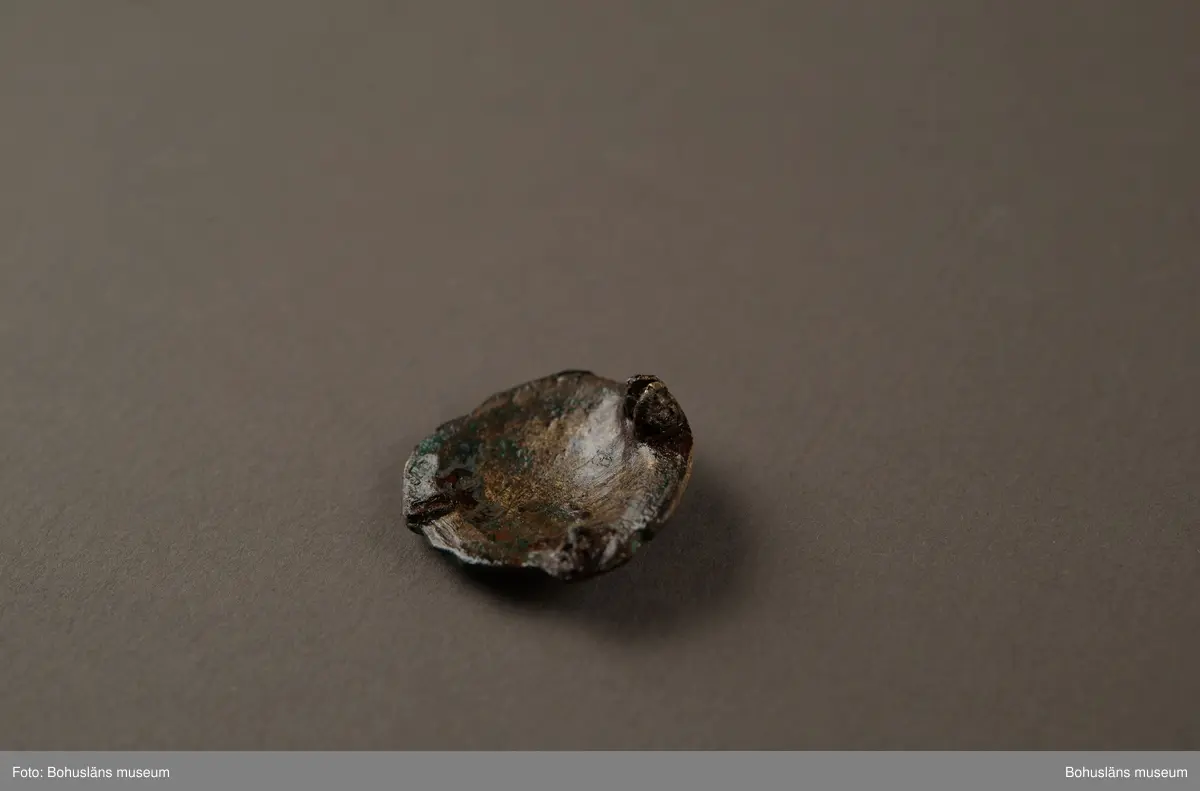 Spänne av brons, runt, med gjuten ornamentik, diameter ca 29 mm. Föremålet är något skadat. Förgyllningen har en rödare ton, vilket tyder på att det är en guldlegering med rätt högt kopparinnehåll. Nålen på baksidan saknas.

Spännet är av en typ som brukar dateras till yngre järnålder, vikingatid. Det hittades år 1878 på gården Trättestad i Kville socken och skänktes till museet år 1879 av soldaten P. A Sörqvist från Söbbskinn i Kville.

Enligt äldre kataloguppgifter i museets arkiv hittades spännet tillsammans med en täljstensgryta (UM002768) och en "gnidsten" (förmodligen avses en slip- eller glättsten).
I fornlämningsregistret för Bohuslän, Kville socken, står att läsa i ett tillägg om fornlämning RAÄ 276 på fastigheten Trättestad: År 1878 erhöll Uddevalla museum från en av högarna härstädes: en täljstensgryta med järngrepe, ett litet runt spänne av brons och en "gnidsten". Enligt uppgift av en åbo i Trättestad hittades i samma hög två "sländtrissor".

Antagligen kommer föremålen från en numera förstörd gravhög inom det gravfält (Kville 276) som idag består av åtta synliga gravar. Kombinationen av föremålen i gravfyndet skvallrar om att det kan ha varit en kvinna som varit begravd i högen. De två sländtrissorna och "gnidstenen" finns idag inte i museets samlingar. Troligen har de aldrig lämnats in.

Ur handskrivna katalogen 1957-1958:
Del av bronshalsprydnad
Diam. 2,9. Bronsspänne m. gjuten ornamentik. Skadat. Trellestad, Kville Bohusl. 1878  4

Lappkatalog: 1:27

Efter okulär besiktning i mikroskåp konstaterades att spännet var förgyllt med rödaktig guld (hög kopparhalt). 2008-11-07/IL

Landskap BOHUSLÄN